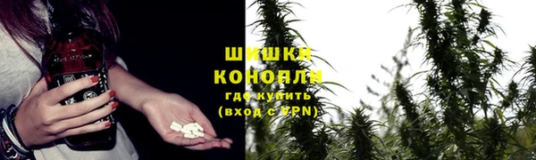трава Балахна