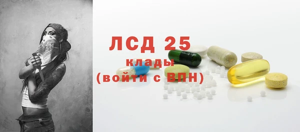 спайс Арсеньев