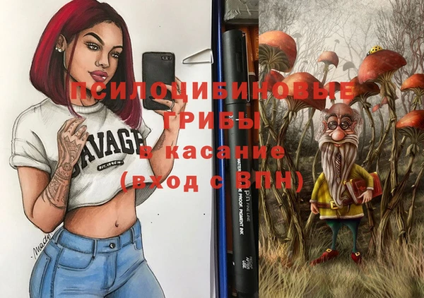 спайс Арсеньев